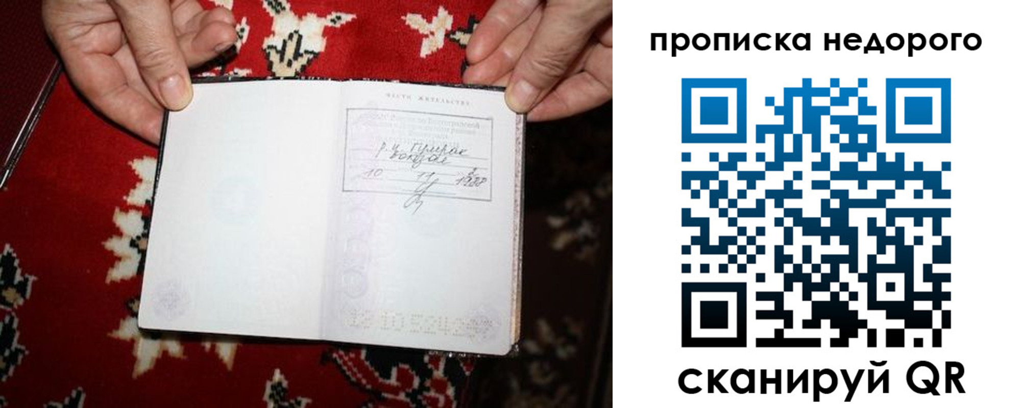 прописка гарантия в Курске